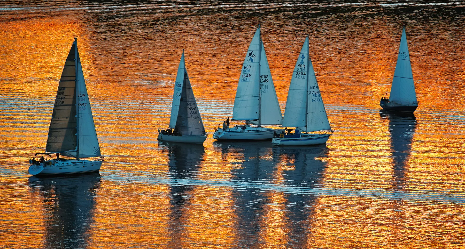 A group of sail boats