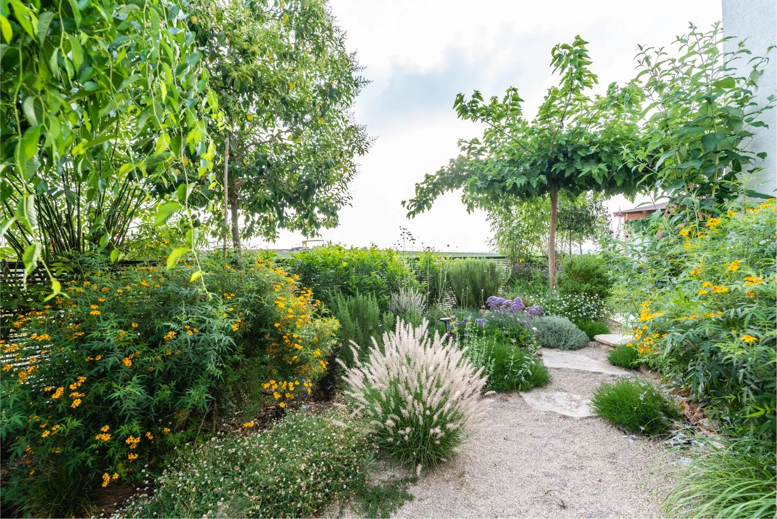 Mediterranean cottage garden