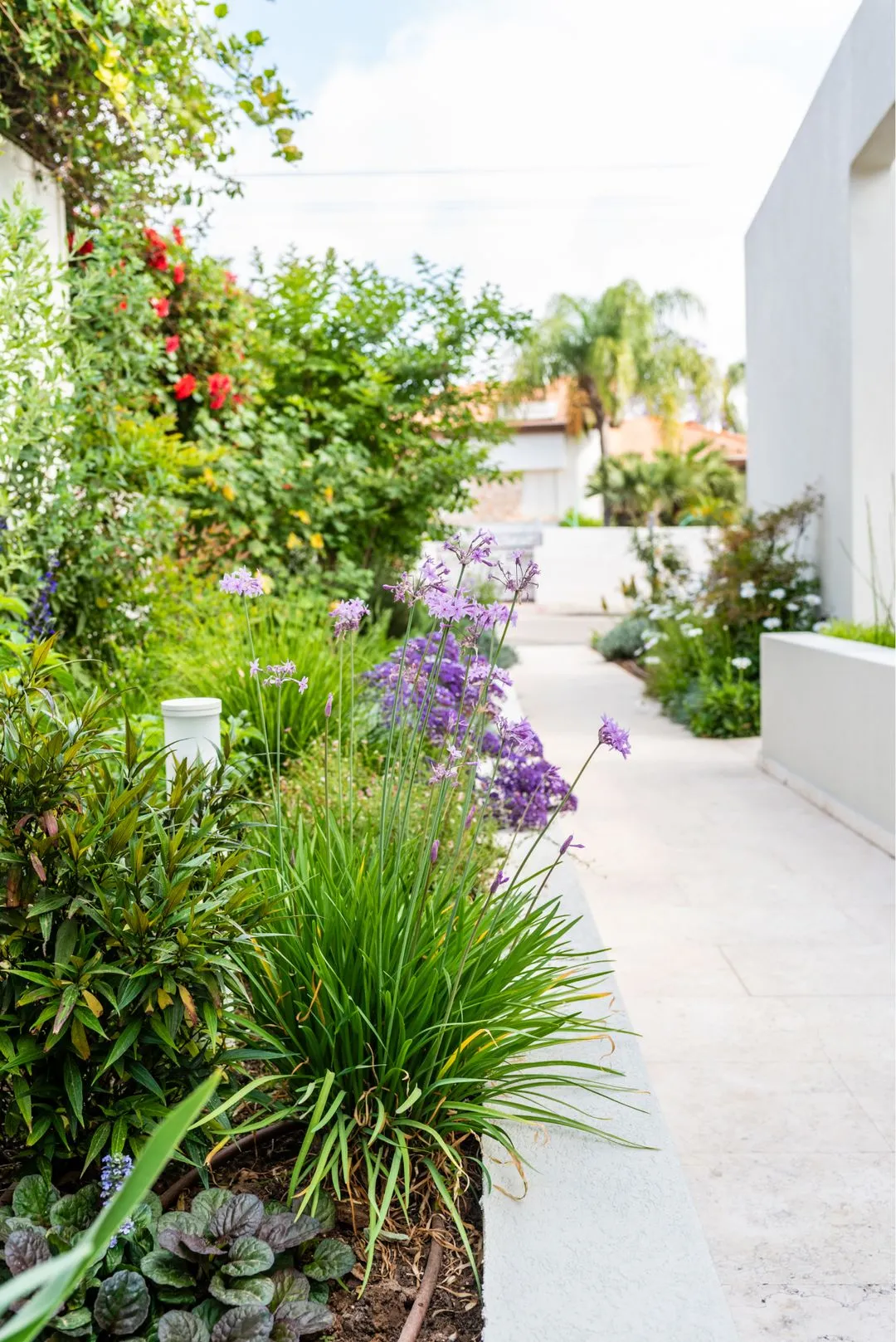 Natural stylish entrance