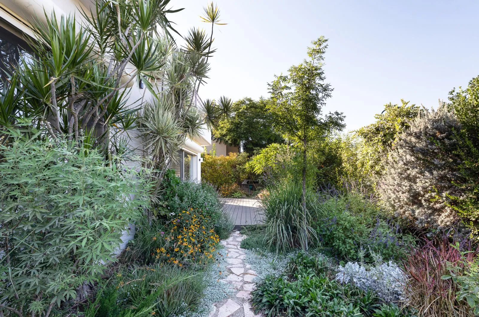 Small mediterranean garden