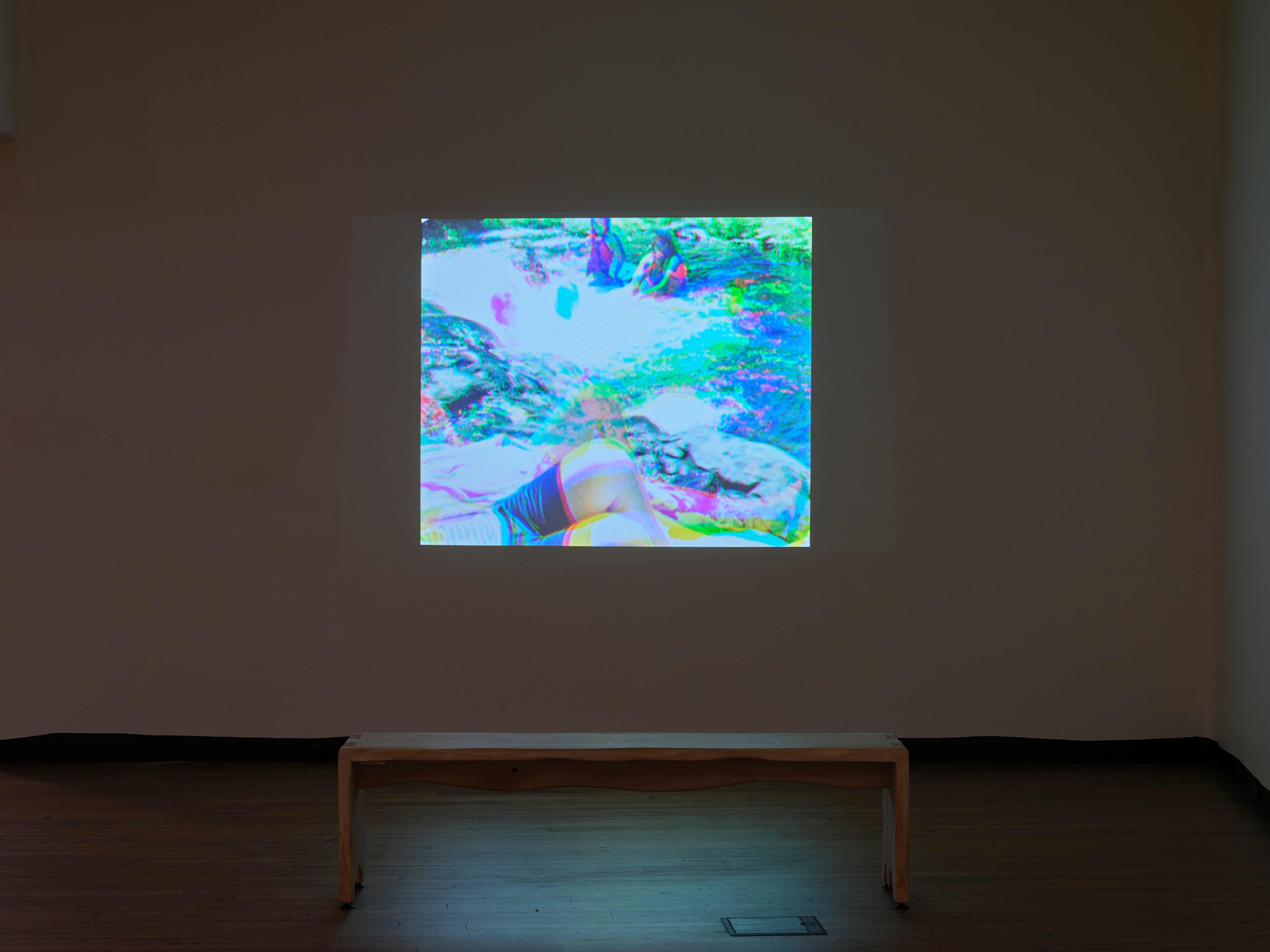 This is not Dying (2010) digital moving image