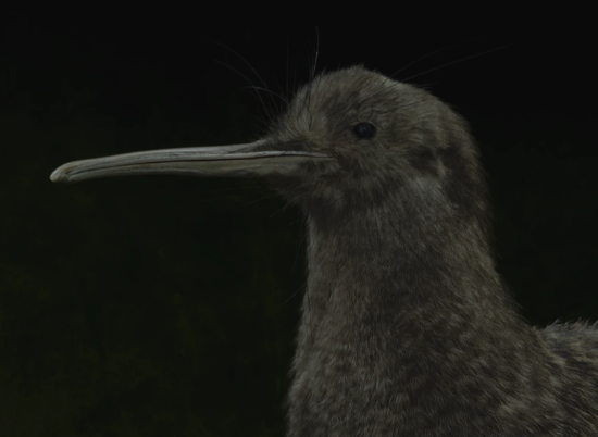 TIKI: Adrift between worlds