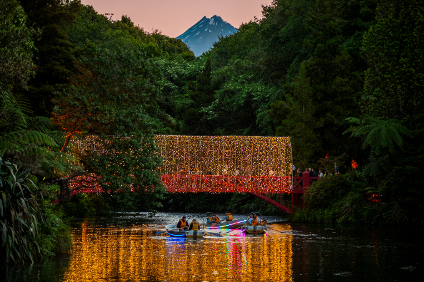 TSB Festival of Lights