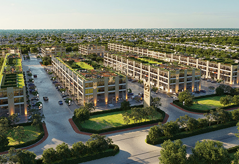 Real Estate Investing