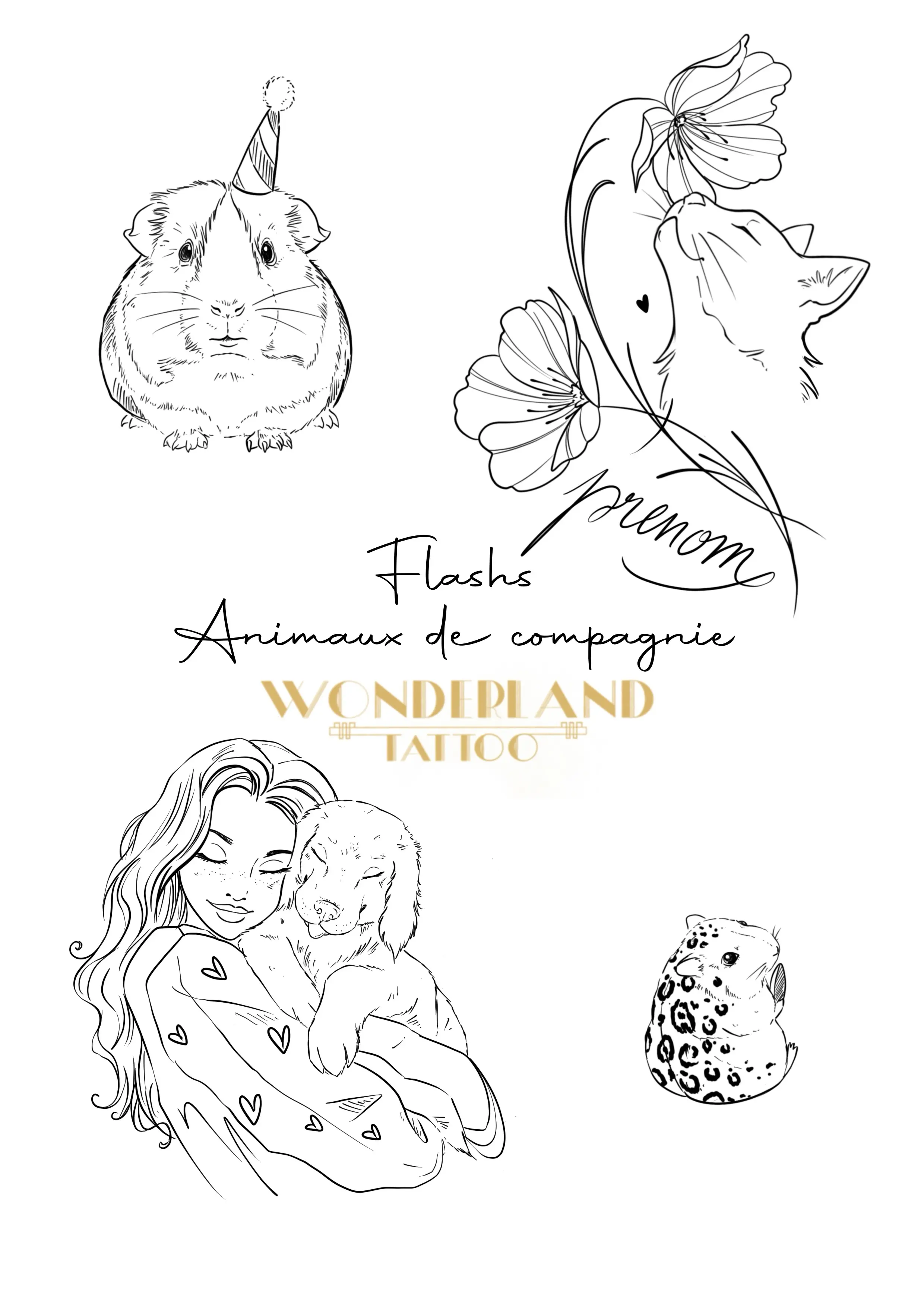 Flash animaux 