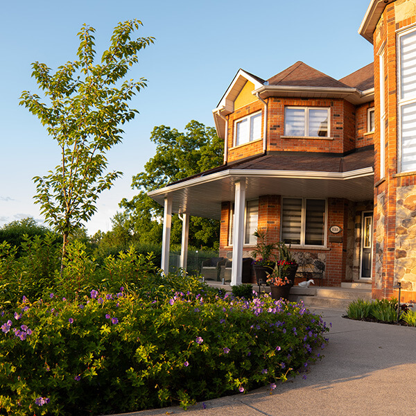 Brick house with a covered porch, surrounded by green plants and purple flowers under clear sky.