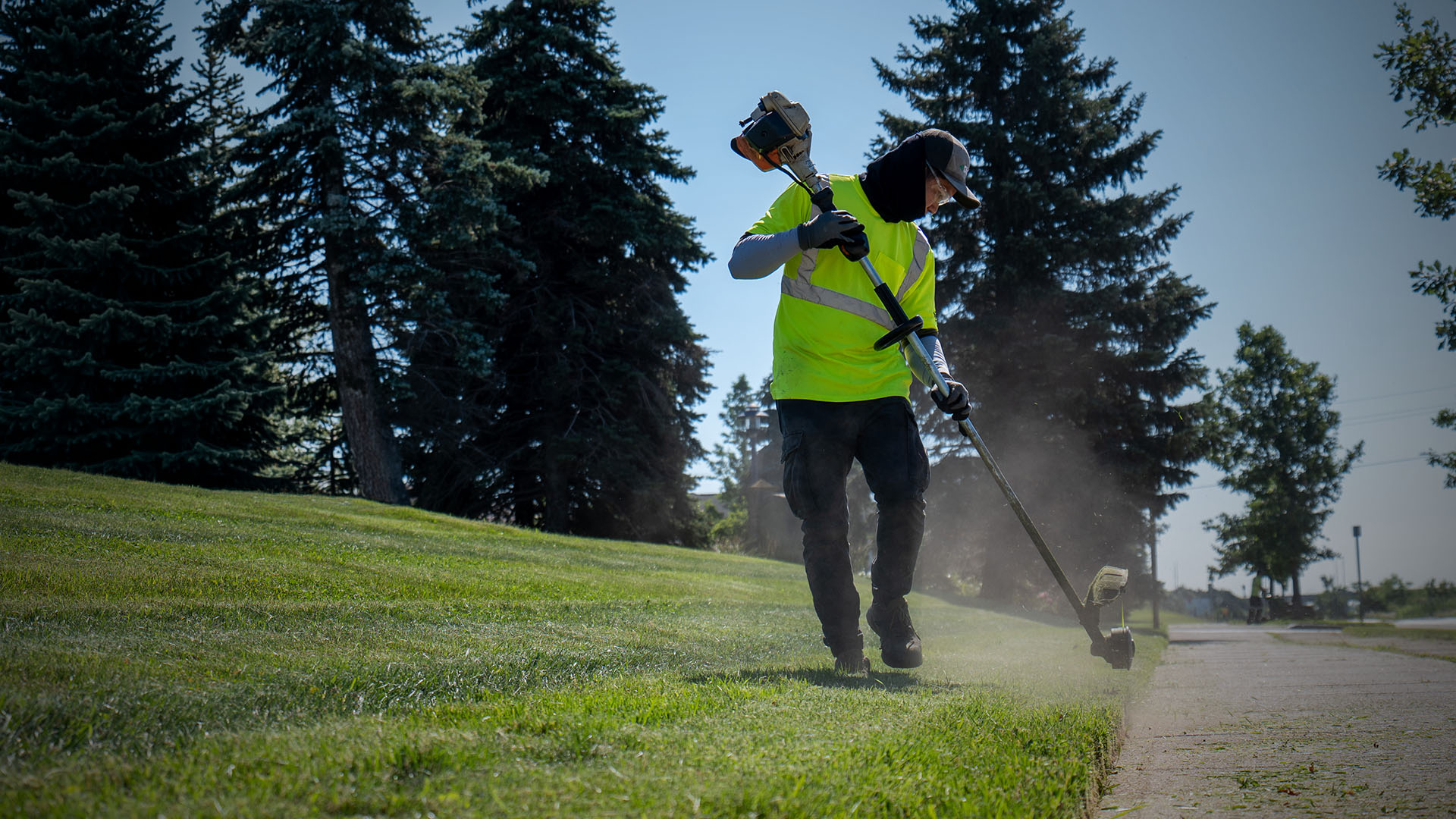Dicam Landscaping Header image of their work
