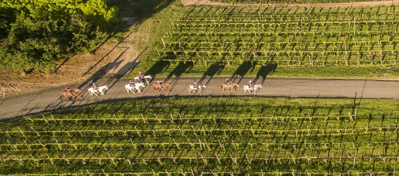 Ballade à cheval dans un champ Hôtel Chais Monnet & Spa Cognac