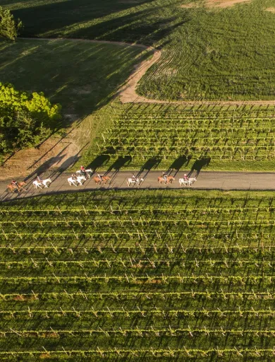 Ballade à cheval dans un champ Hôtel Chais Monnet & Spa Cognac