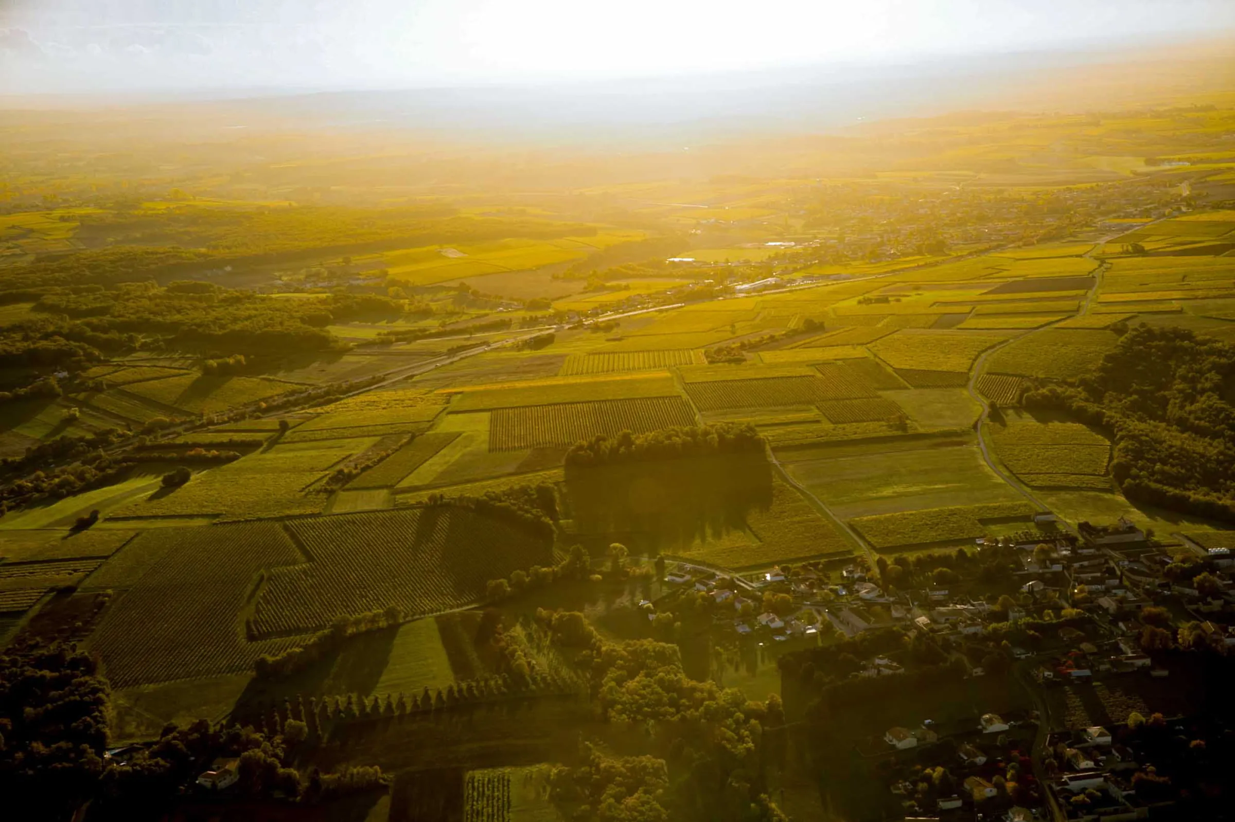 Terrasse avec verdure avec vue sur un cloché Hôtel Chais Monnet & Spa Cognac