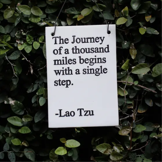 The journey of a thousand miles begins with a single step. Lao Tzu