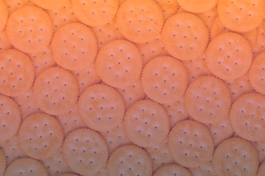 Crackers CPG case study