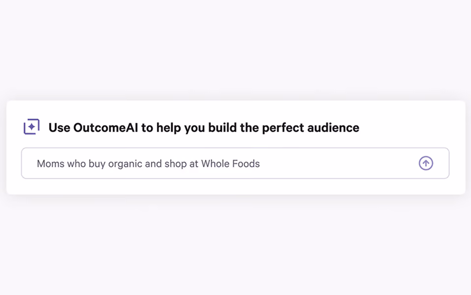 Prompt-to-audience AI