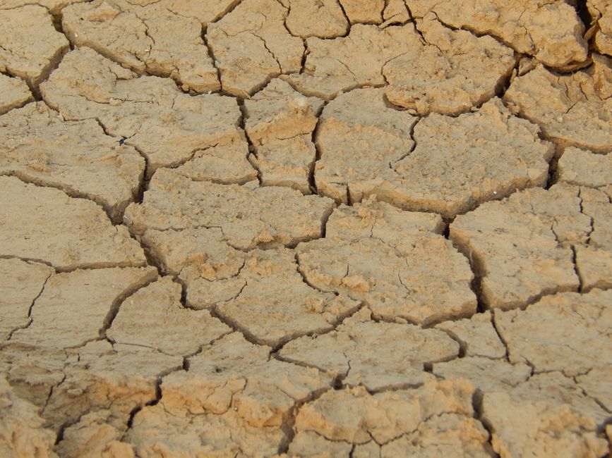 Dry vs Dehydrated Skin: How to Tell the Difference
