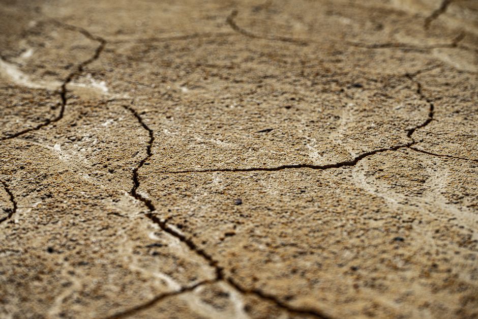 dry vs dehydrated skin