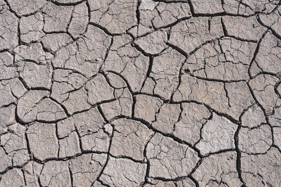 dry vs dehydrated skin