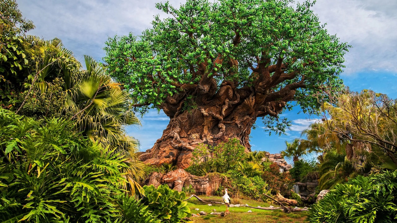 Disney’s Animal Kingdom Theme Park — official Disney park image