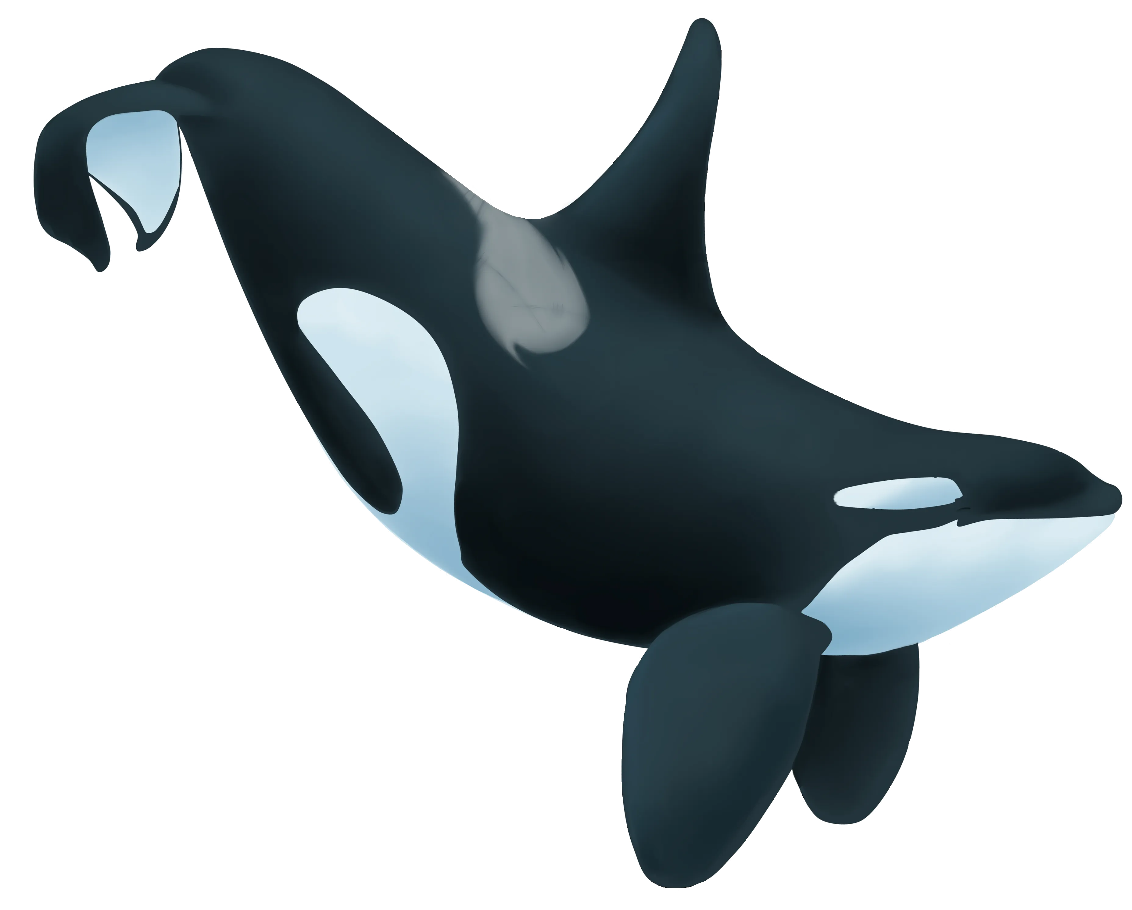 Onyx Icon