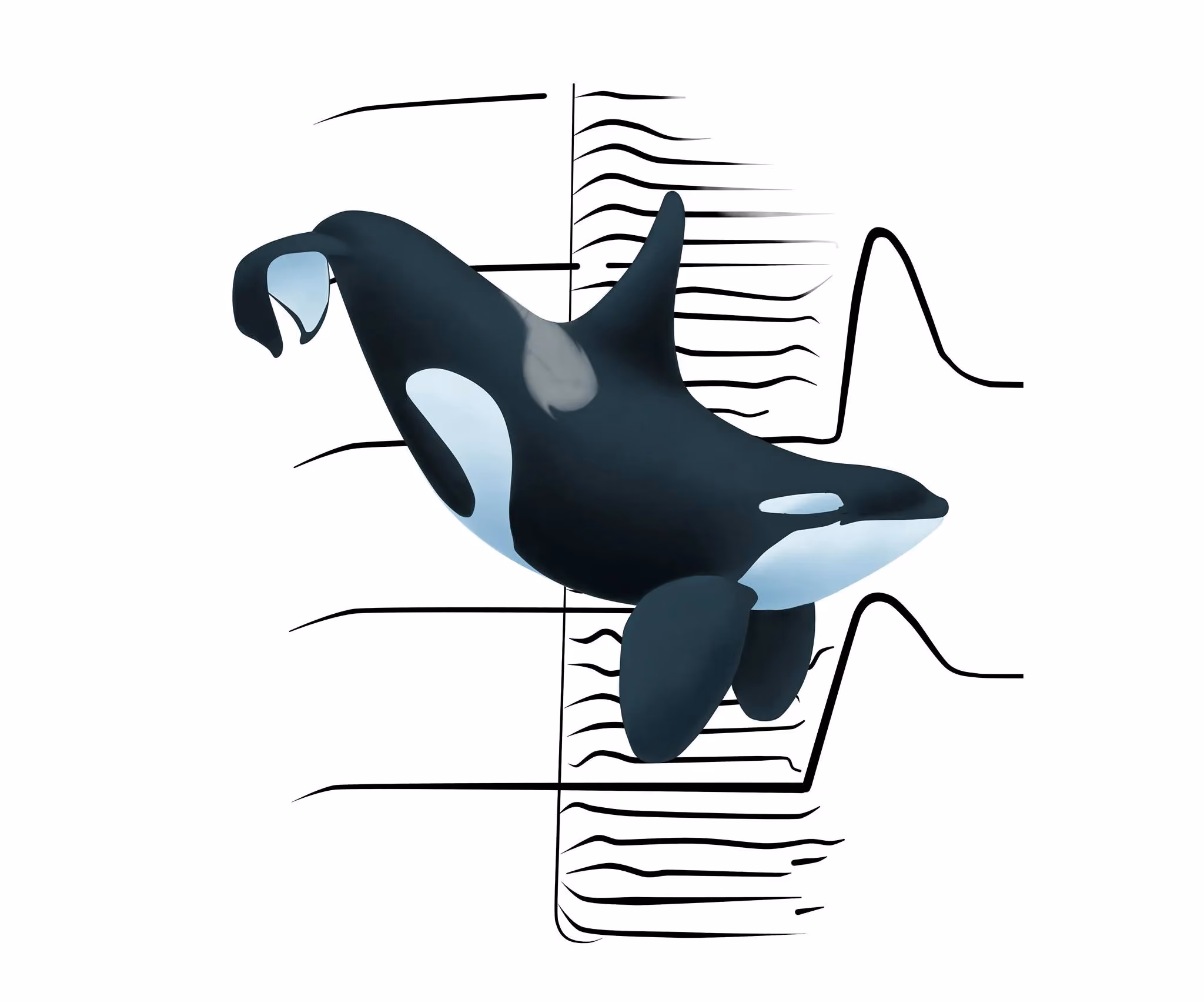 Illustration of a black and white orca whale swimming with abstract black sound waveforms behind it on a white background.