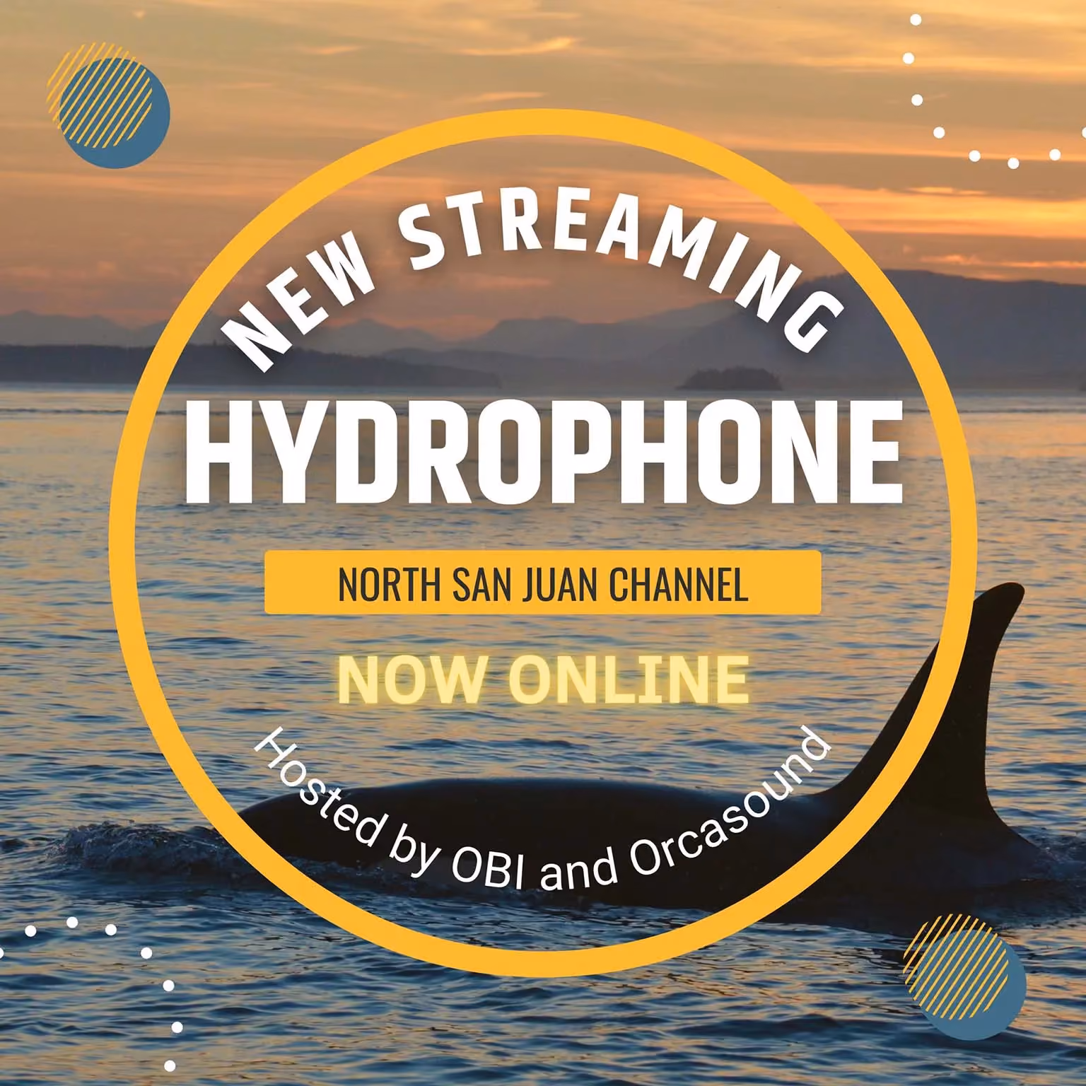 NEW STREAMING
HYDROPHONE
NORTH SAN JUAN CHANNEL