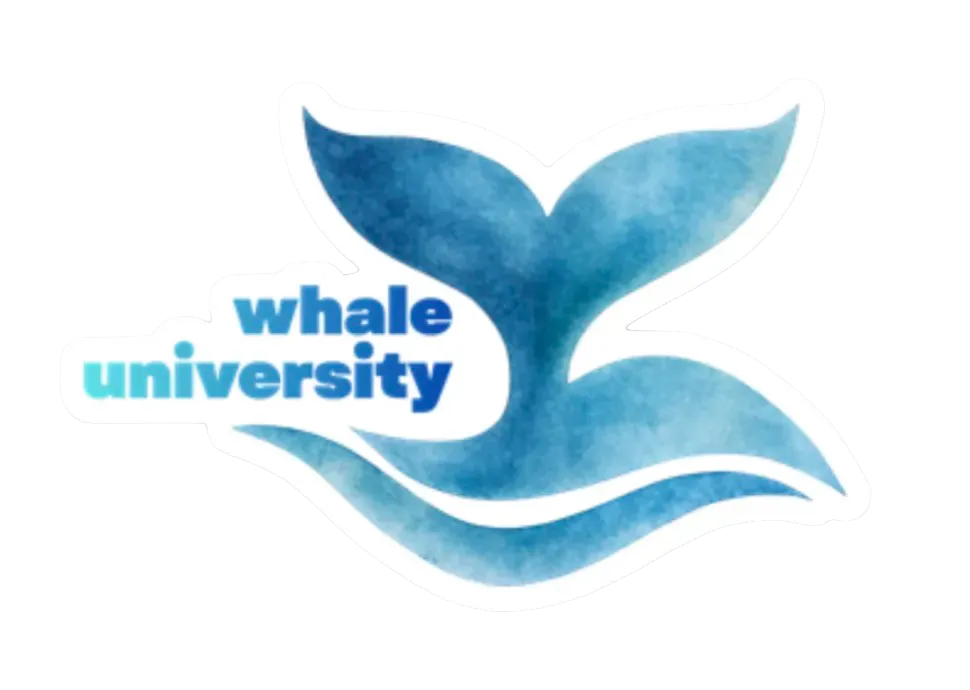 Blue watercolor illustration of a whale tail above stylized waves with the words 'whale university' written in blue and teal to the left of the tail.