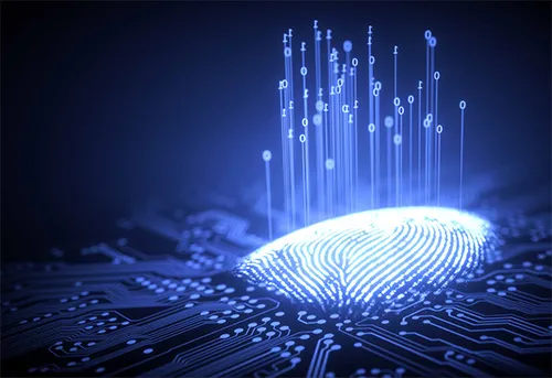 Data Intelligence & Strategic insights