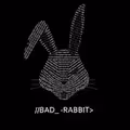 Bad Rabbit Security Limited
