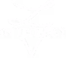Stylized white text and symbols reading 'L IN THE SKY' on black background.