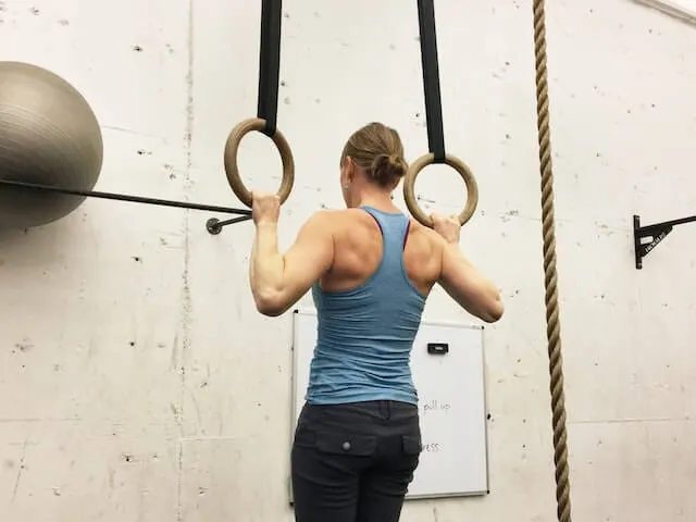 Shoulder Exam
