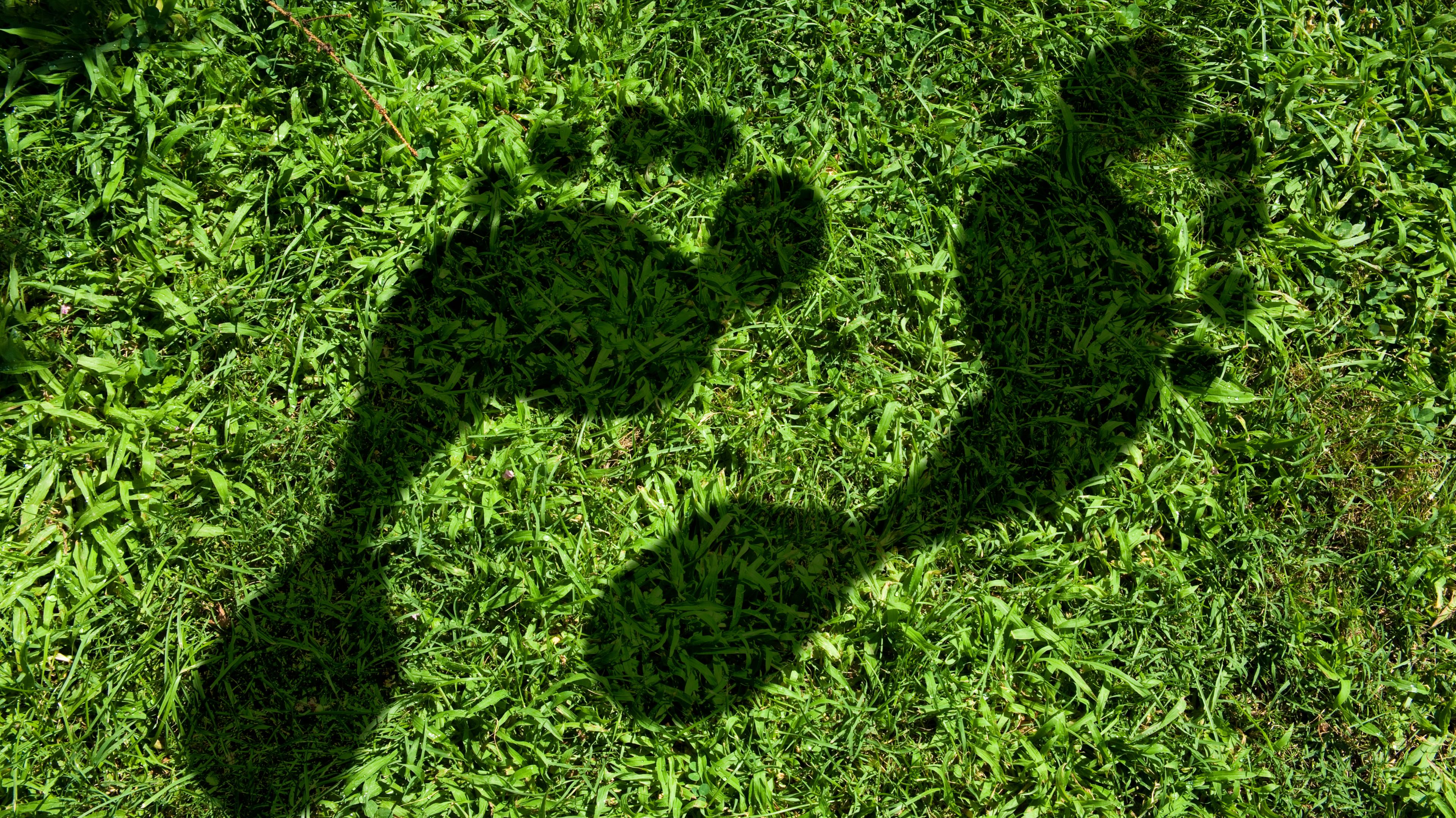 Dekarbonizace není ideologie, ale konkurenční výhoda. Zjistěte, jak firmám přináší nižší náklady, lepší financování a silnější pozici na trhu.