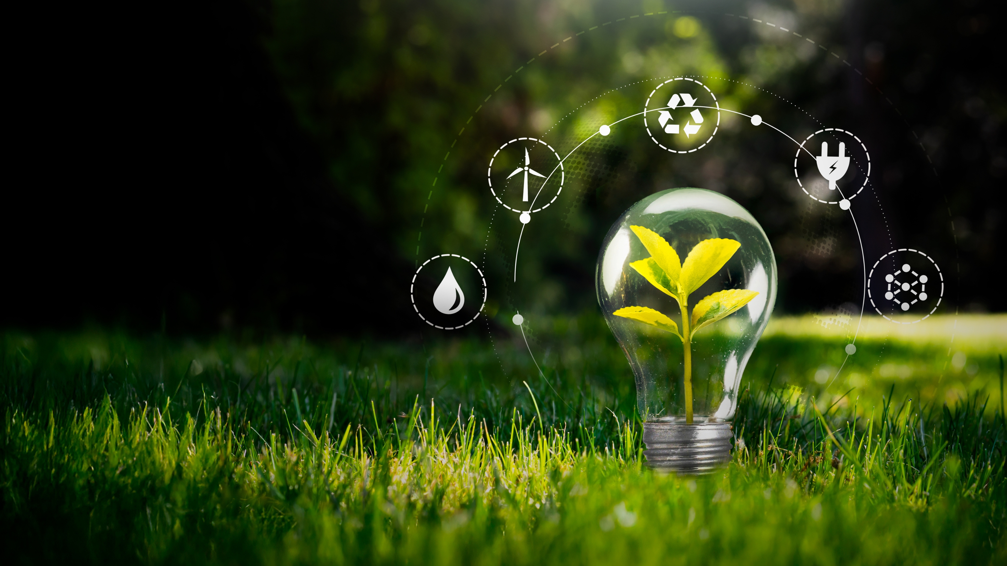 Jak na ISO 50001 ve firmě? Odpovědi na otázky k certifikaci, energetickým datům i úsporám. Zjistěte, jak vám FLOWBOX usnadní řízení energií.