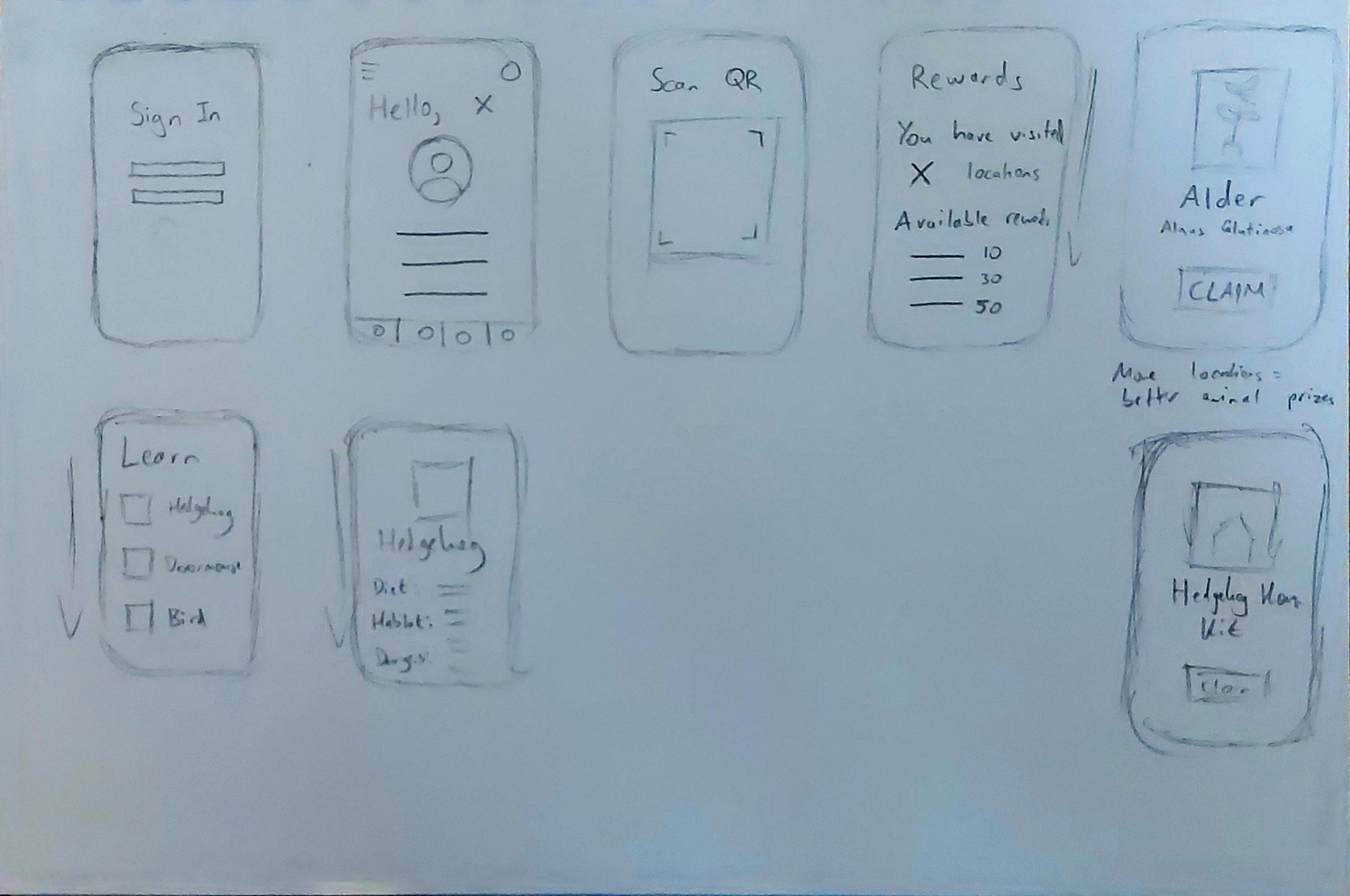 Low fidelity app wireframe.