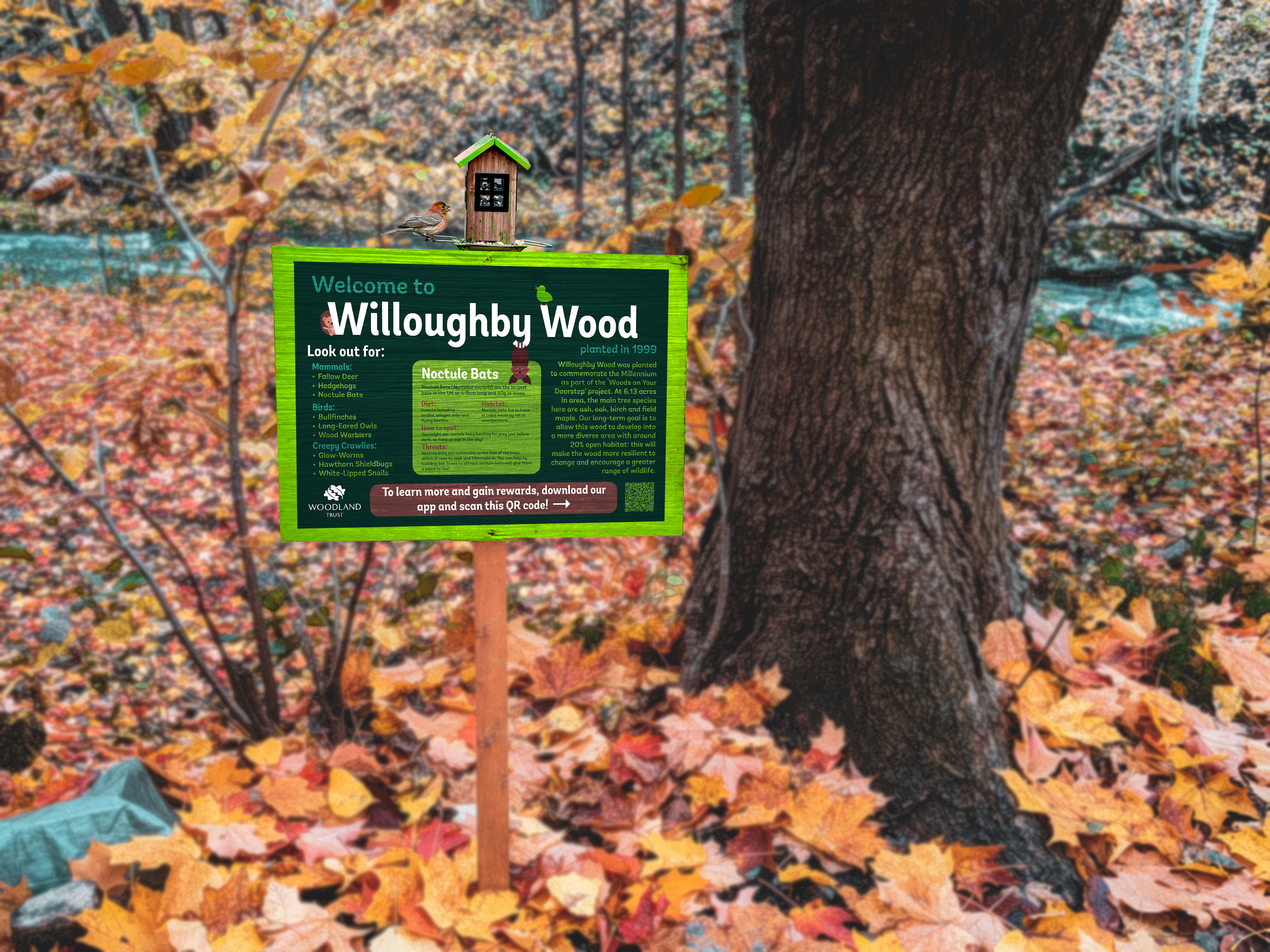 Environmental sign design in situ.