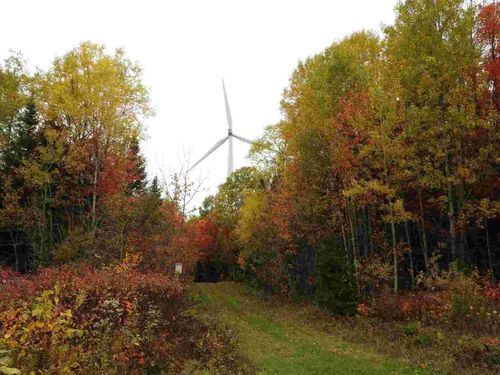 La MRC de L’Érable ciblée par Innergex pour l’implantation d’un projet éolien