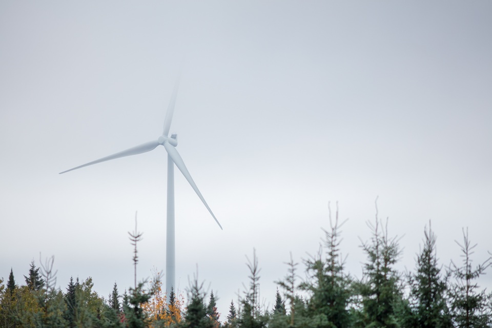 Projet de parc éolien Broughton : retour sur les portes ouvertes et prochaines étapes à franchir