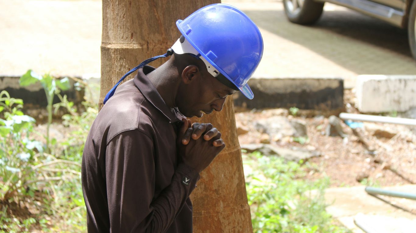 A man wearing a hard hat standing next to a tree
