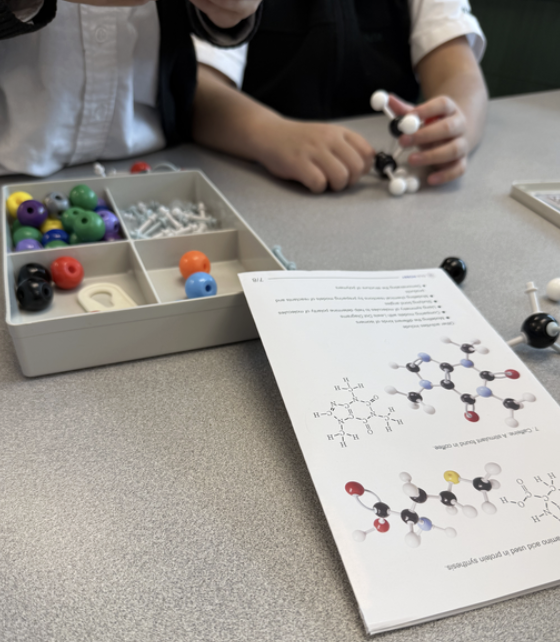 St John's Ravenscourt Weekly Review (12/11/25)