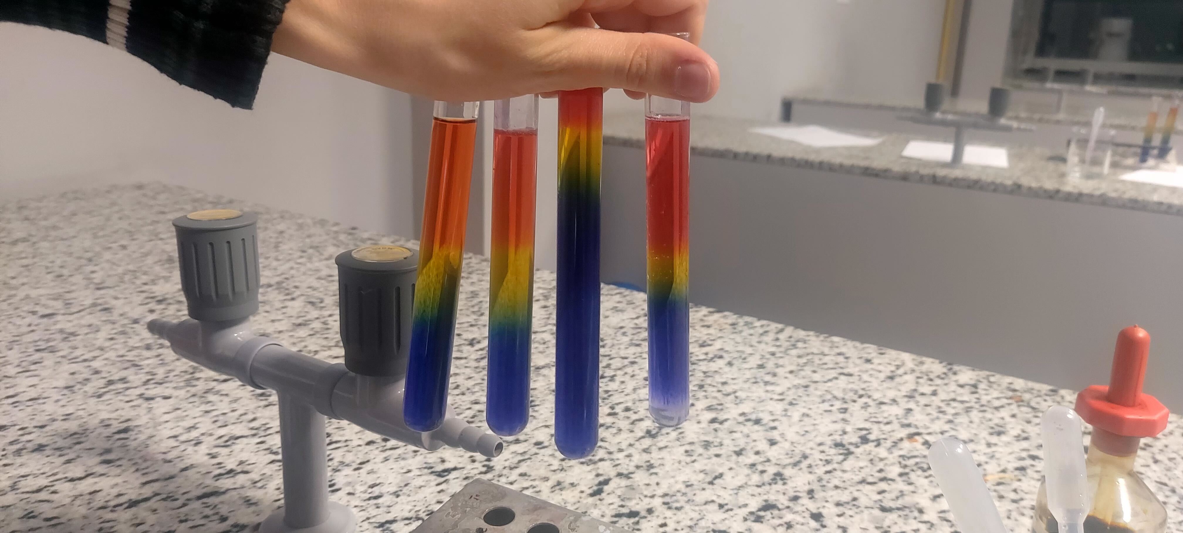 British School Warsaw Weekly Review (2/26/26)