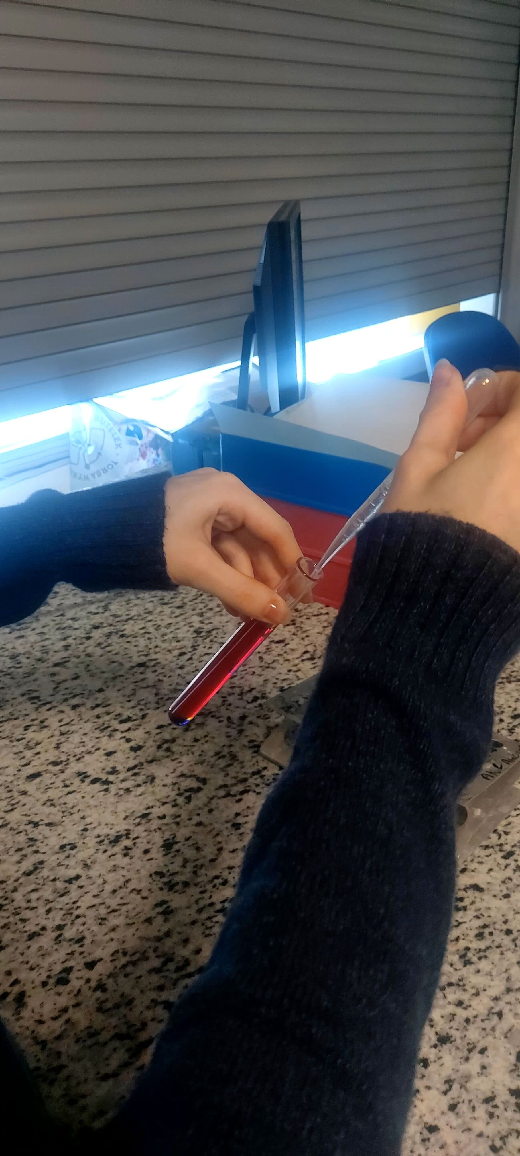 British School Warsaw Weekly Review (2/26/26)