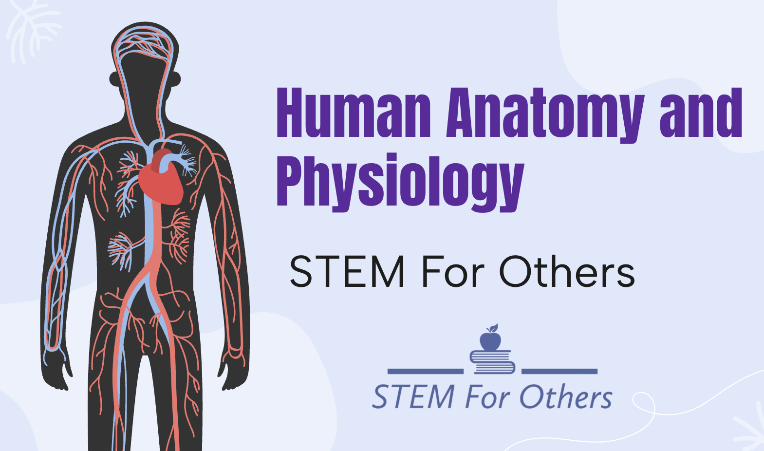 Introducing Human Anatomy!