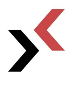 BASIS Silicon Valley logo