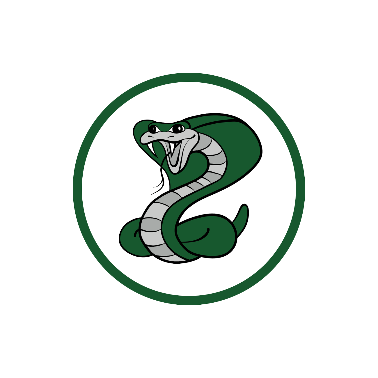 Castillero Middle School logo