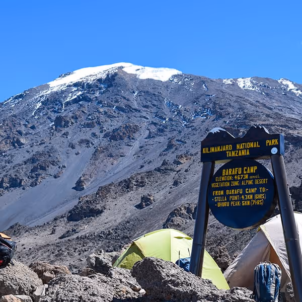 Trekking Kilimanjaro: Lista de imperdibles