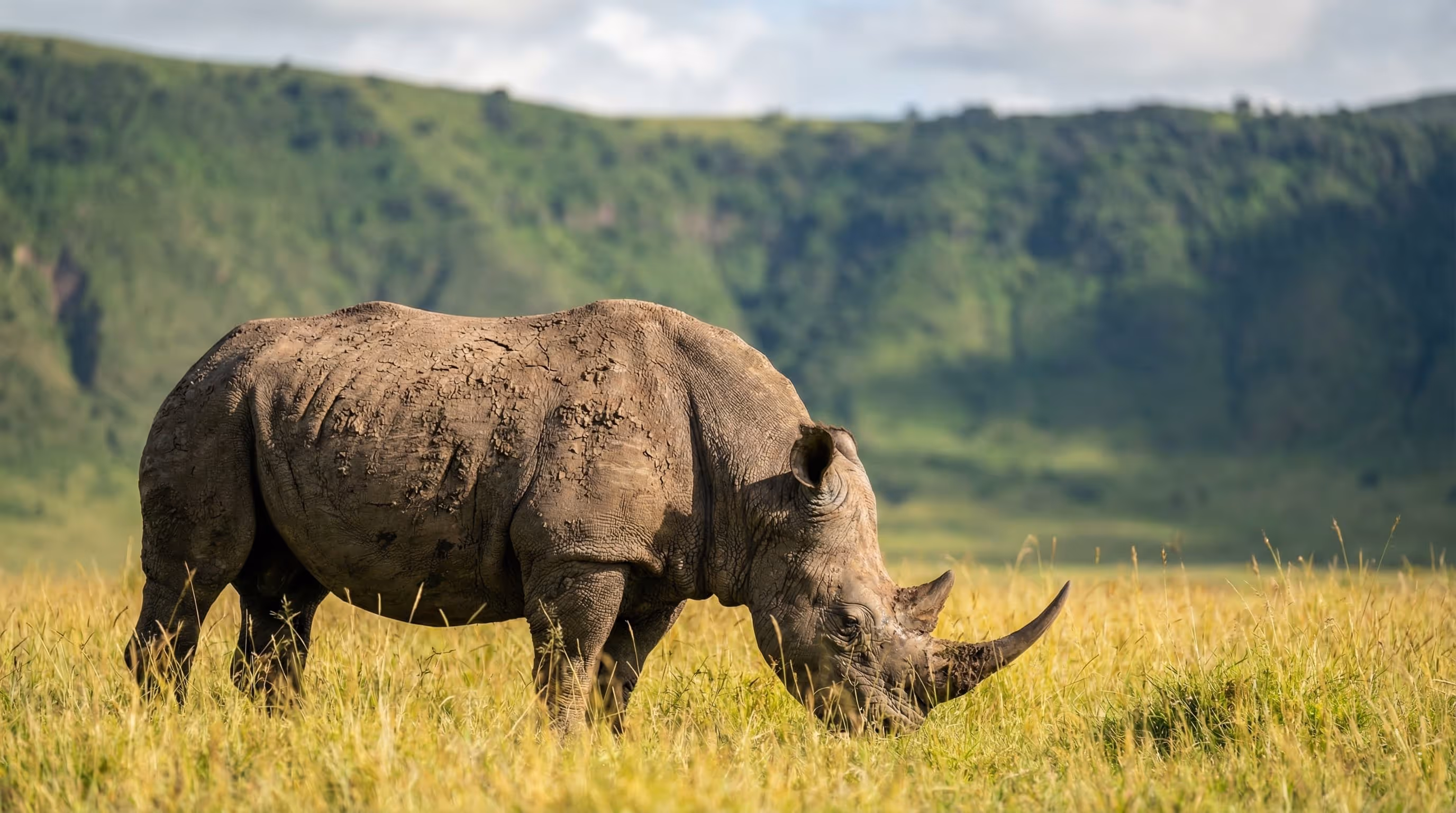 Cráter de Ngorongoro: guía para tu primera visita