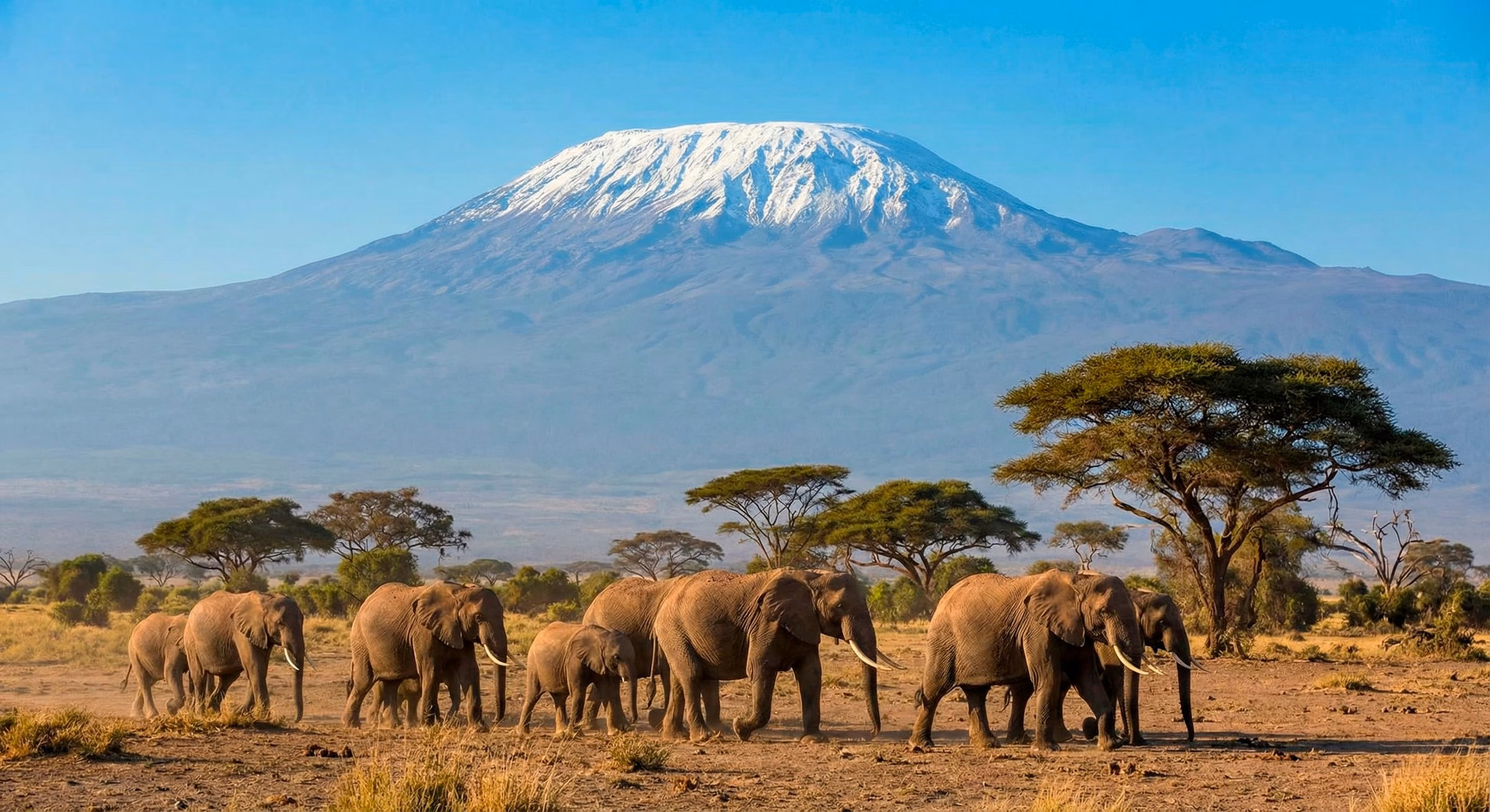 Amboseli National Park: guia completa (accés, clima, tarifes i rutes)