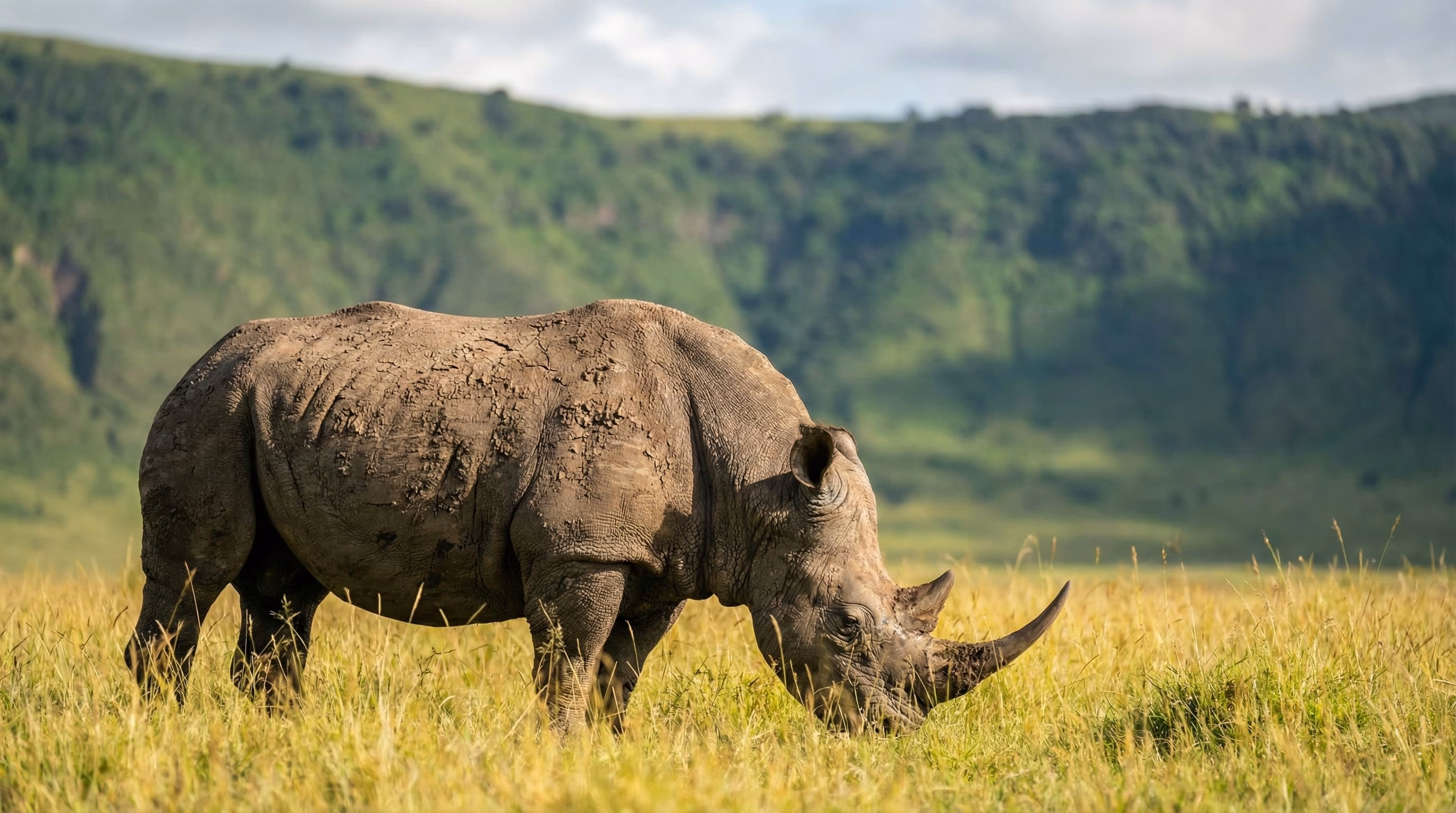 Cràter de Ngorongoro: guia per a la teva primera visita