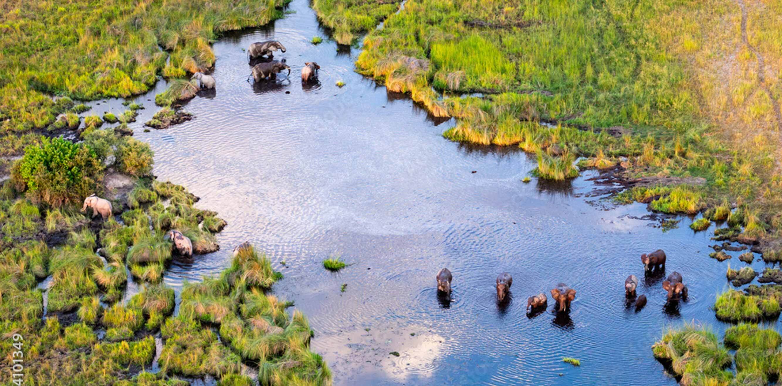 Delta de l’Okavango: quan anar-hi i com recórrer-lo