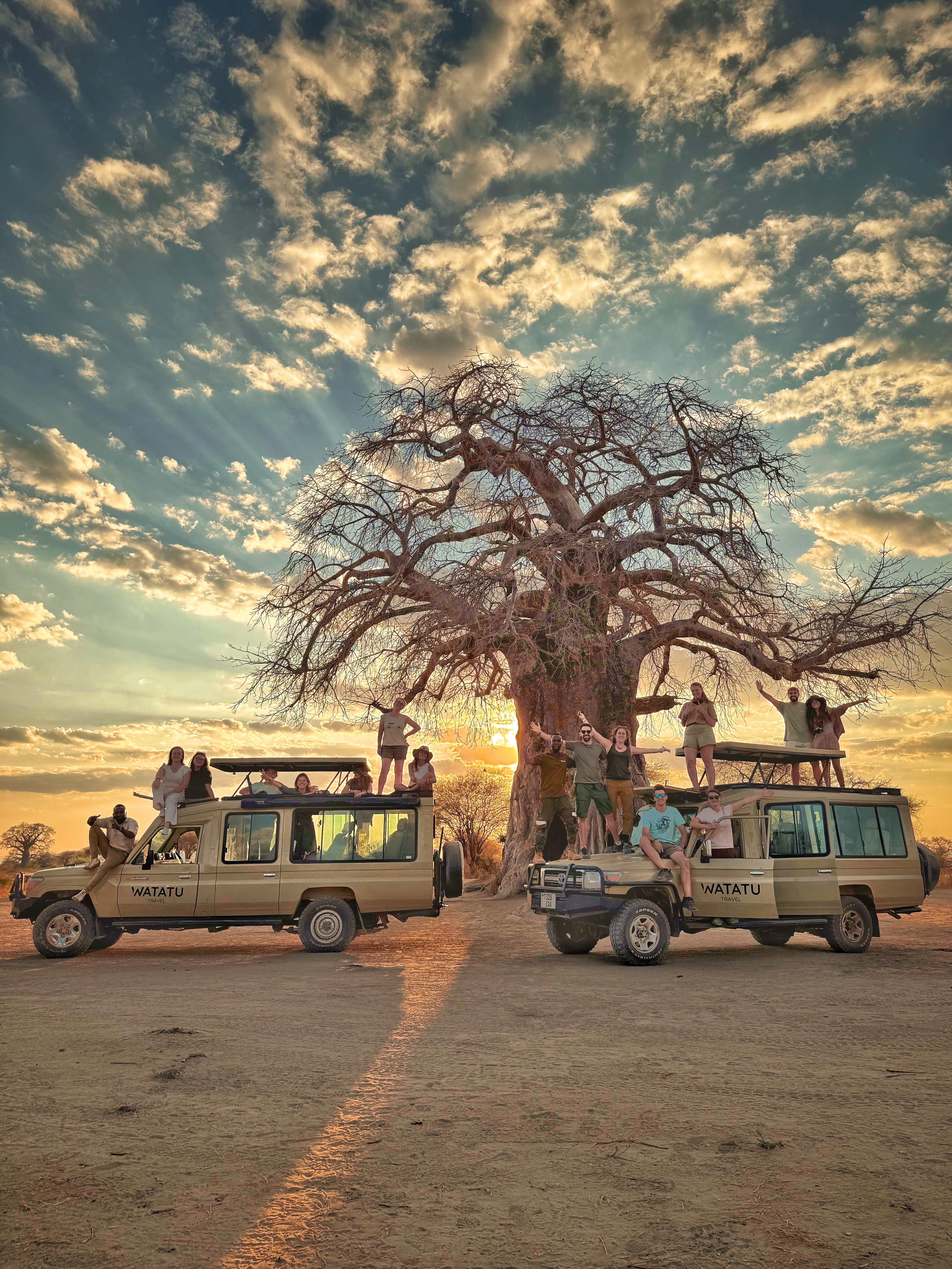 Tarangire: mejor época, elefantes y baobabs