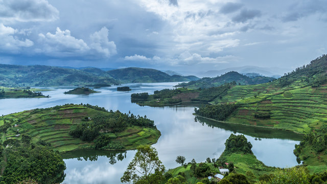 ¿Cuánto cuesta un safari en Uganda? Todo lo que debes saber