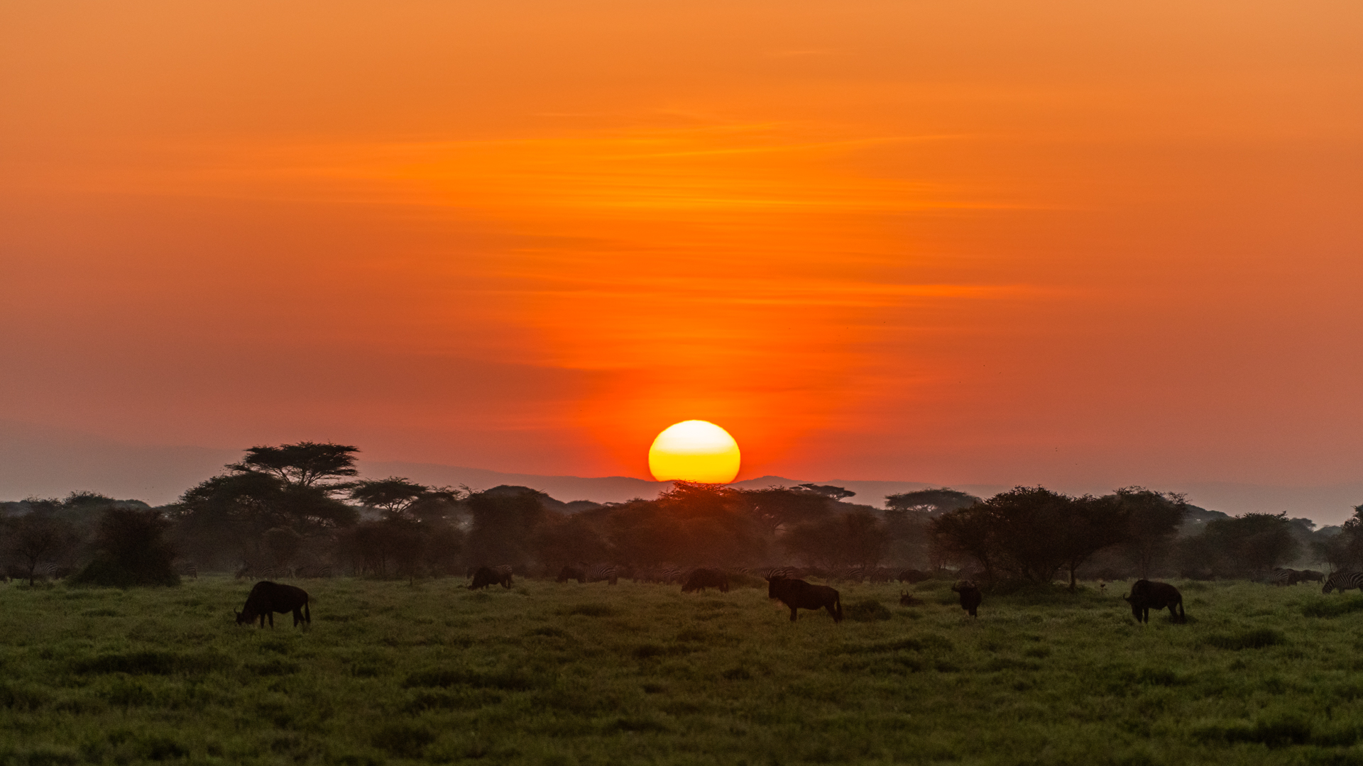 Cómo es el Clima en Tanzania
